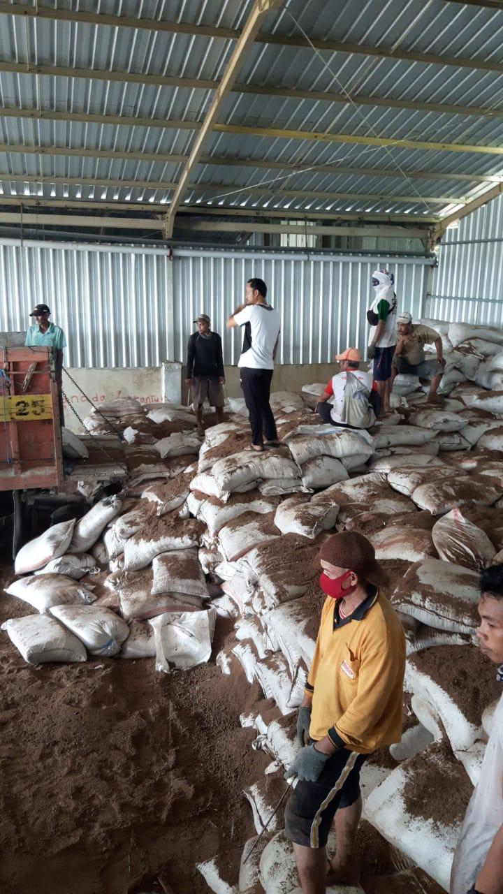 Palm Kernel Cake Product 2