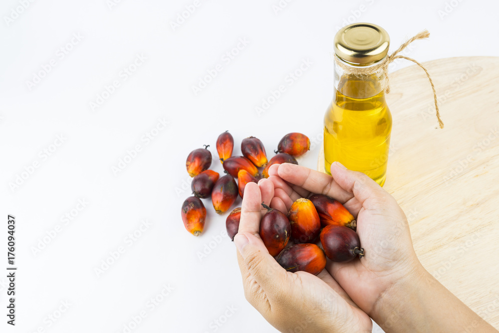 Palm canal oil