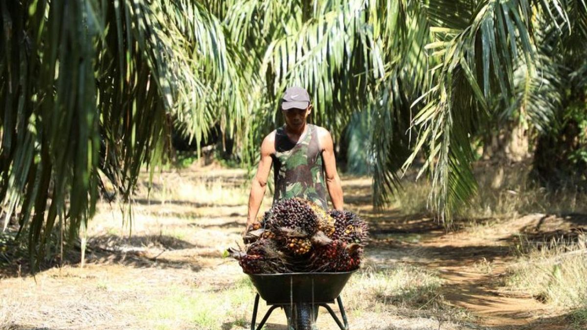 Malaysia and palm oil