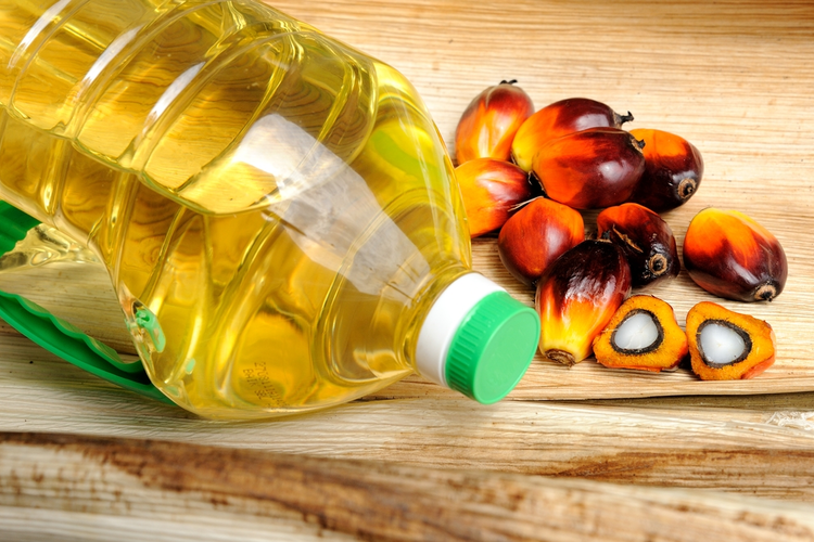 Crude Palm Oil in the Storage Stock Image - Image of storage, high ... Crude Palm Oil in the Storage Stock Image - Image of storage, high ...