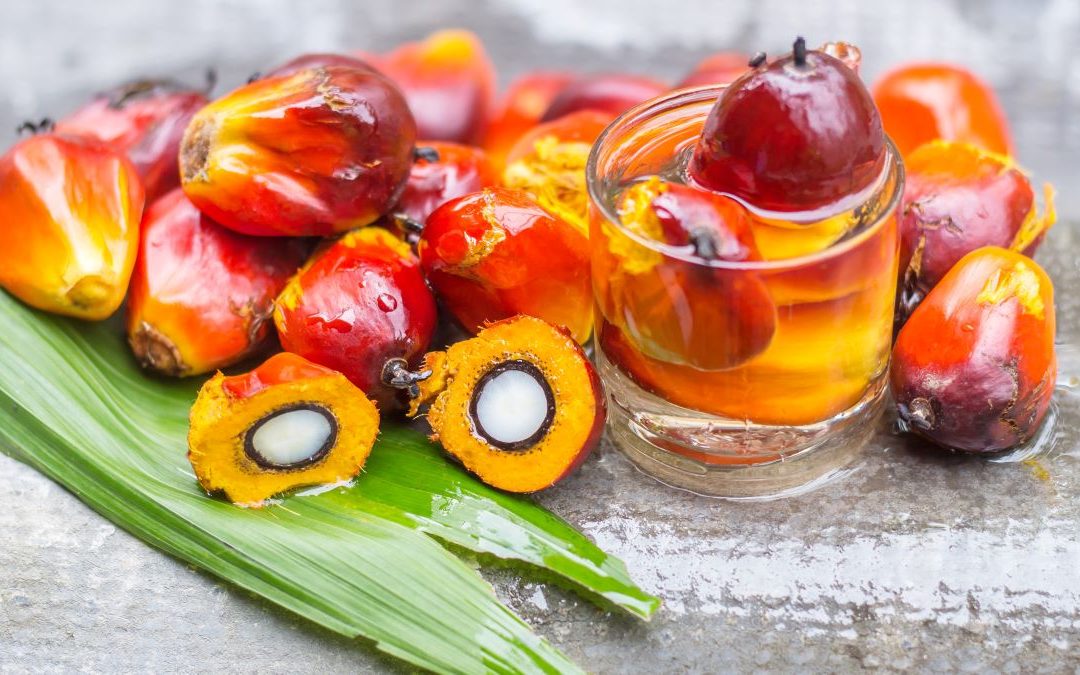 How to stop using palm oil