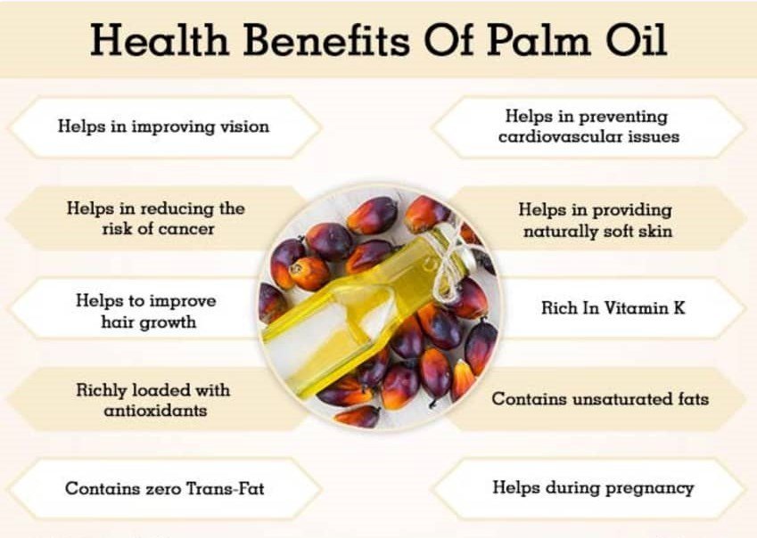 Is palm oil healthy