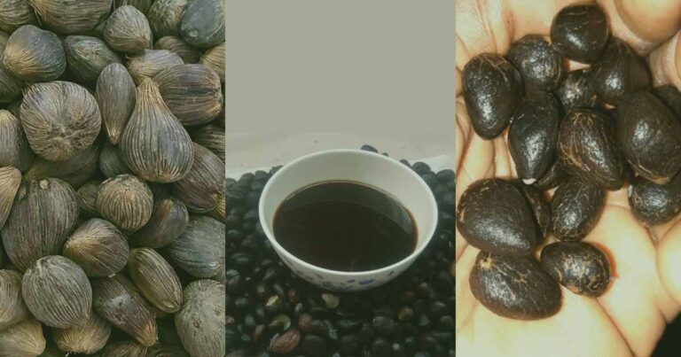 Is palm kernel oil bad for you