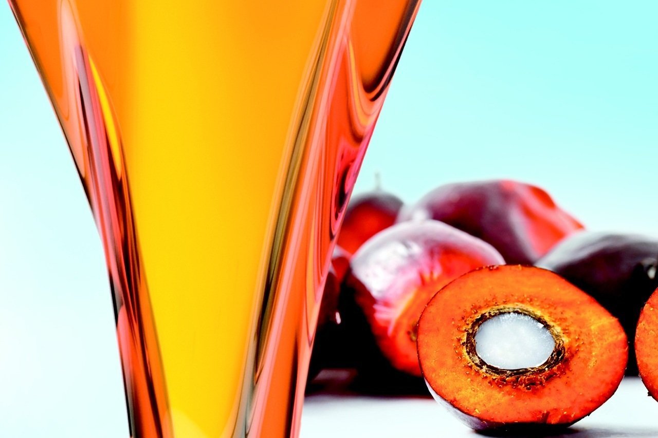 Palm canal oil