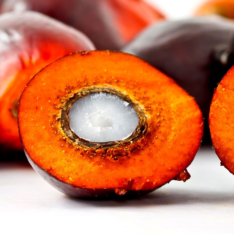 Palm kernel oil knowledge some Is palm kernel oil bad for you
