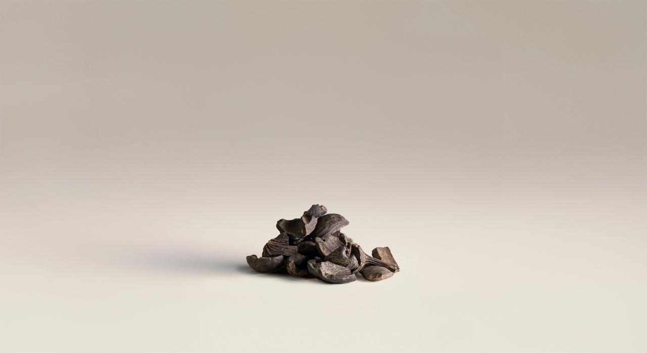 Palm kernel tree