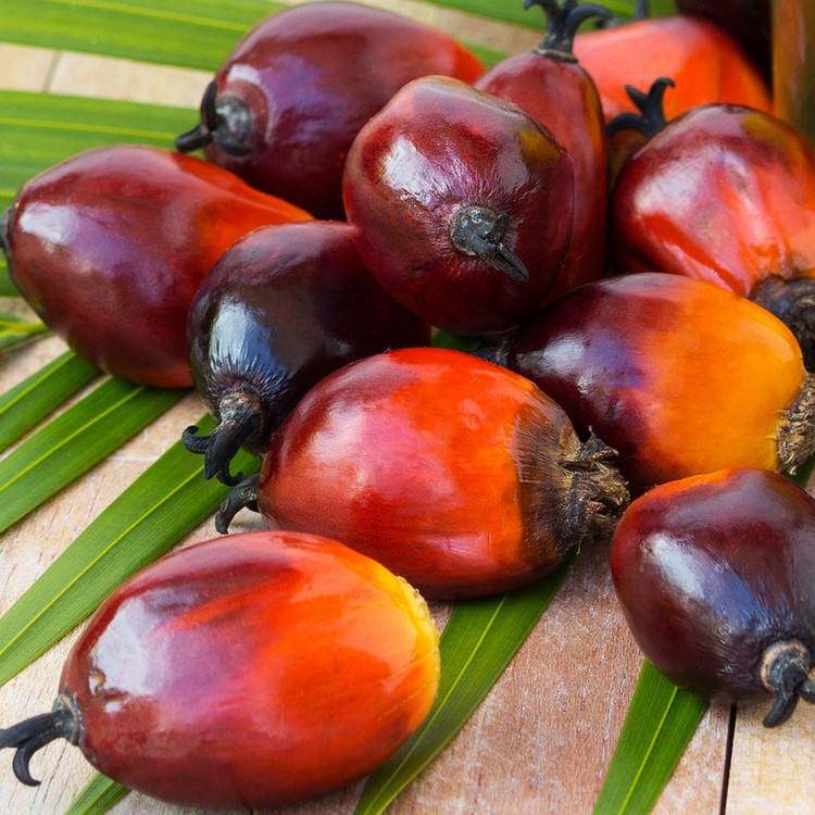 Palm kernel acid