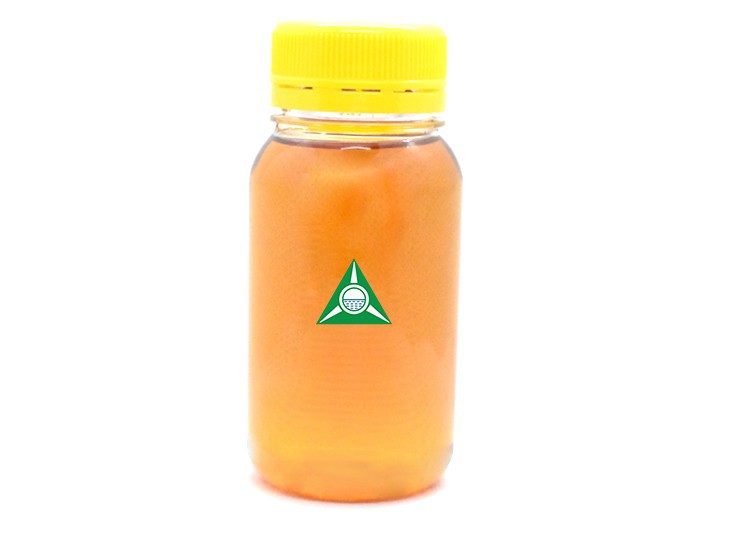 Palm oil kernel fruit seed Palm oil kernel fruit seed