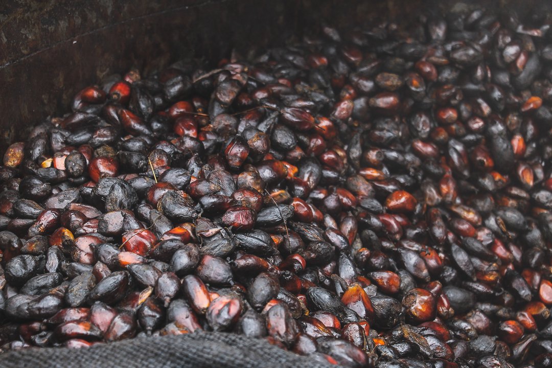How they make palm oil