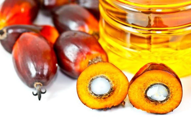 Palm oil and palmolein