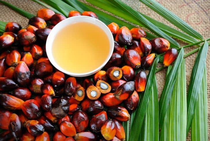 How does palm oil impact the environment