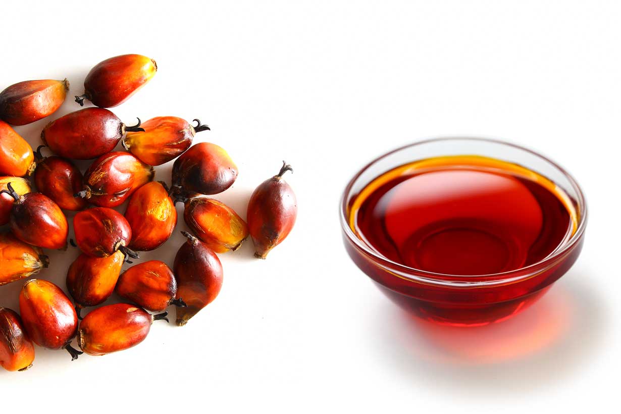 Red oil palm where buy liters praise palmoil How to make red palm oil
