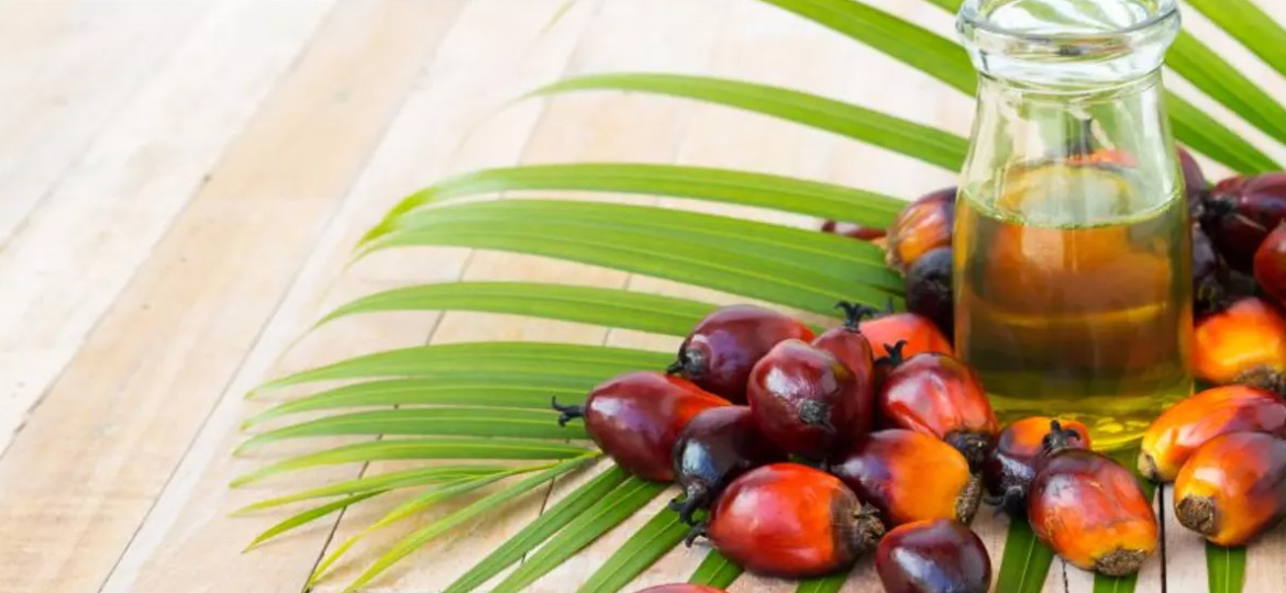 How to make palm oil