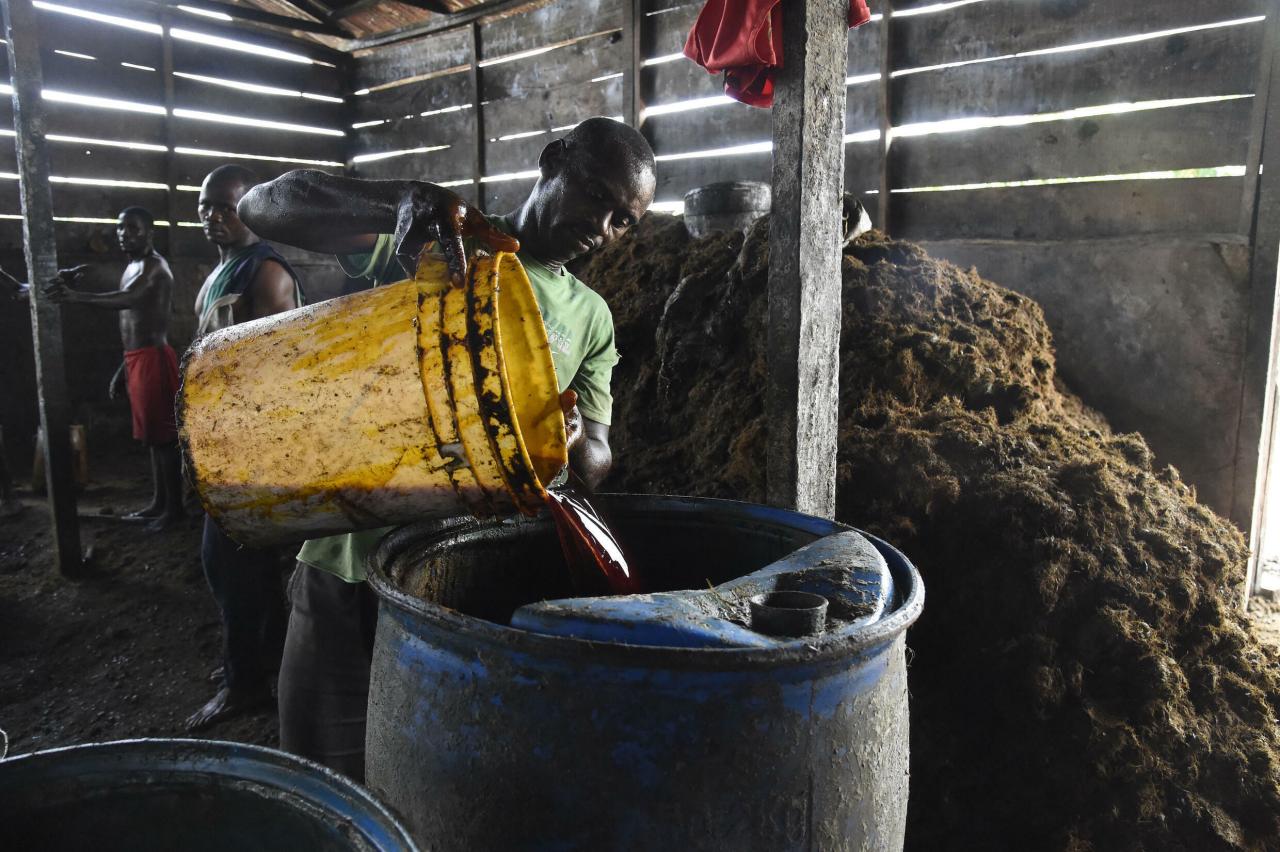 How can i export palm oil from nigeria
