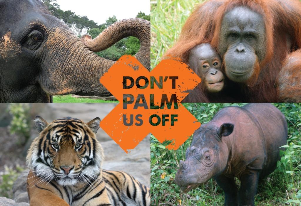 How to avoid palm oil products