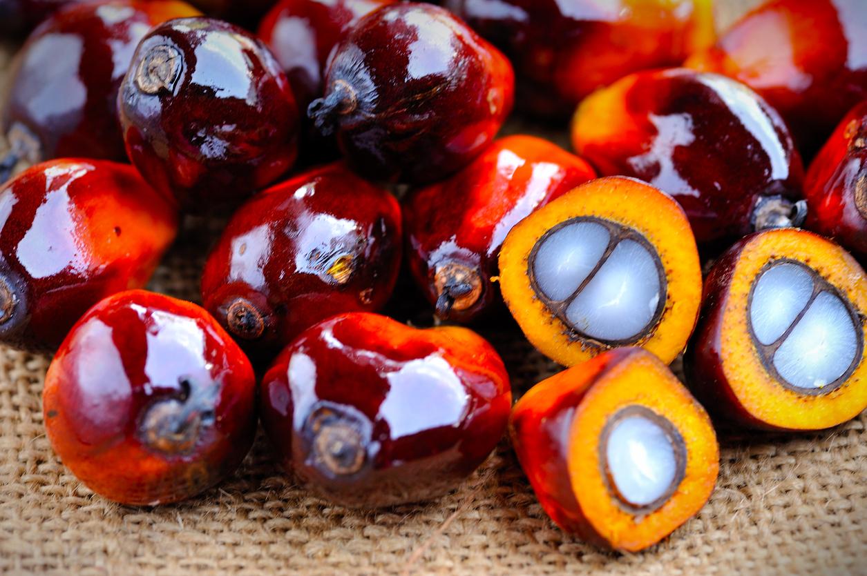 Other names for palm oil