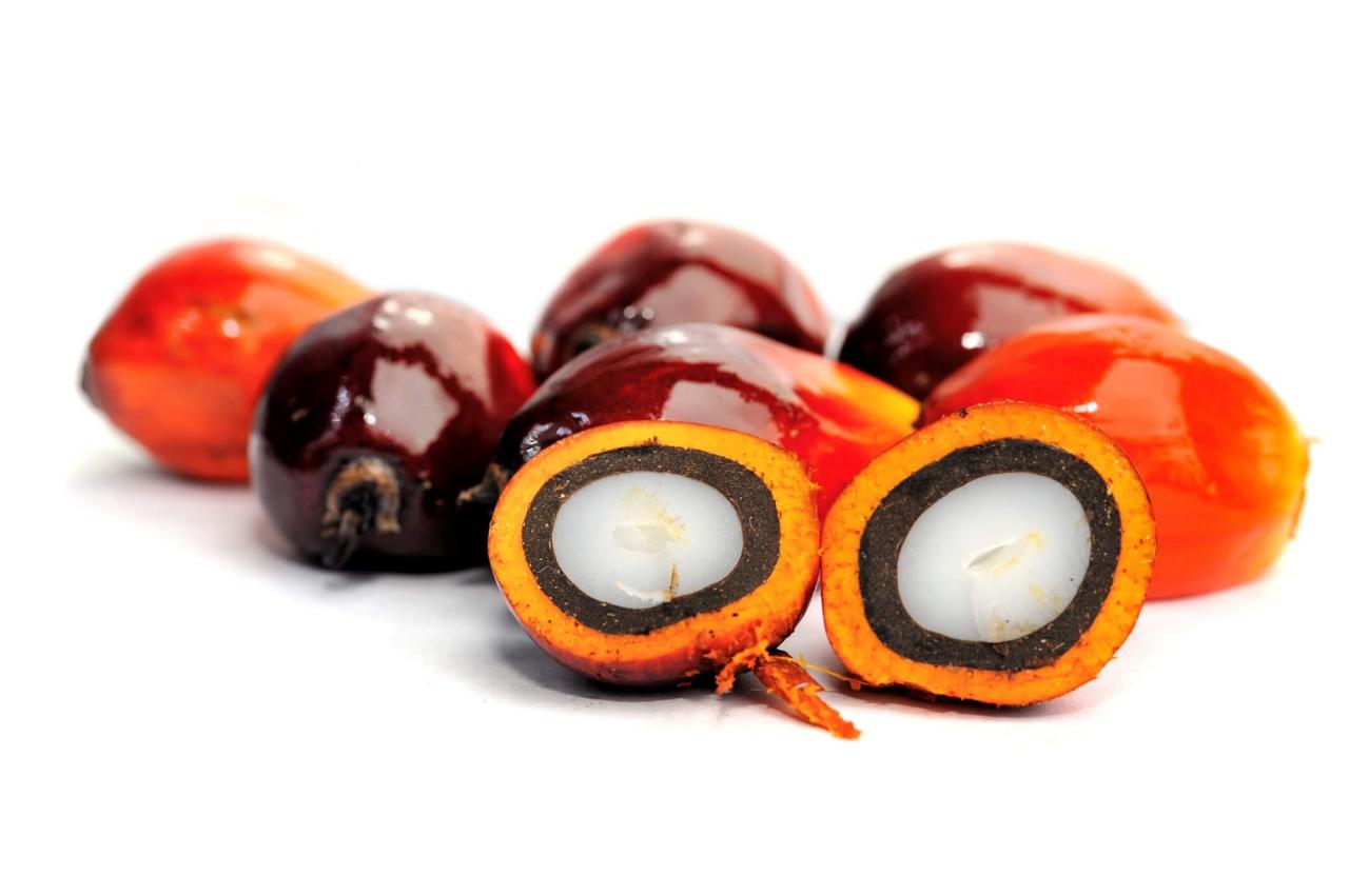 Other names for palm oil