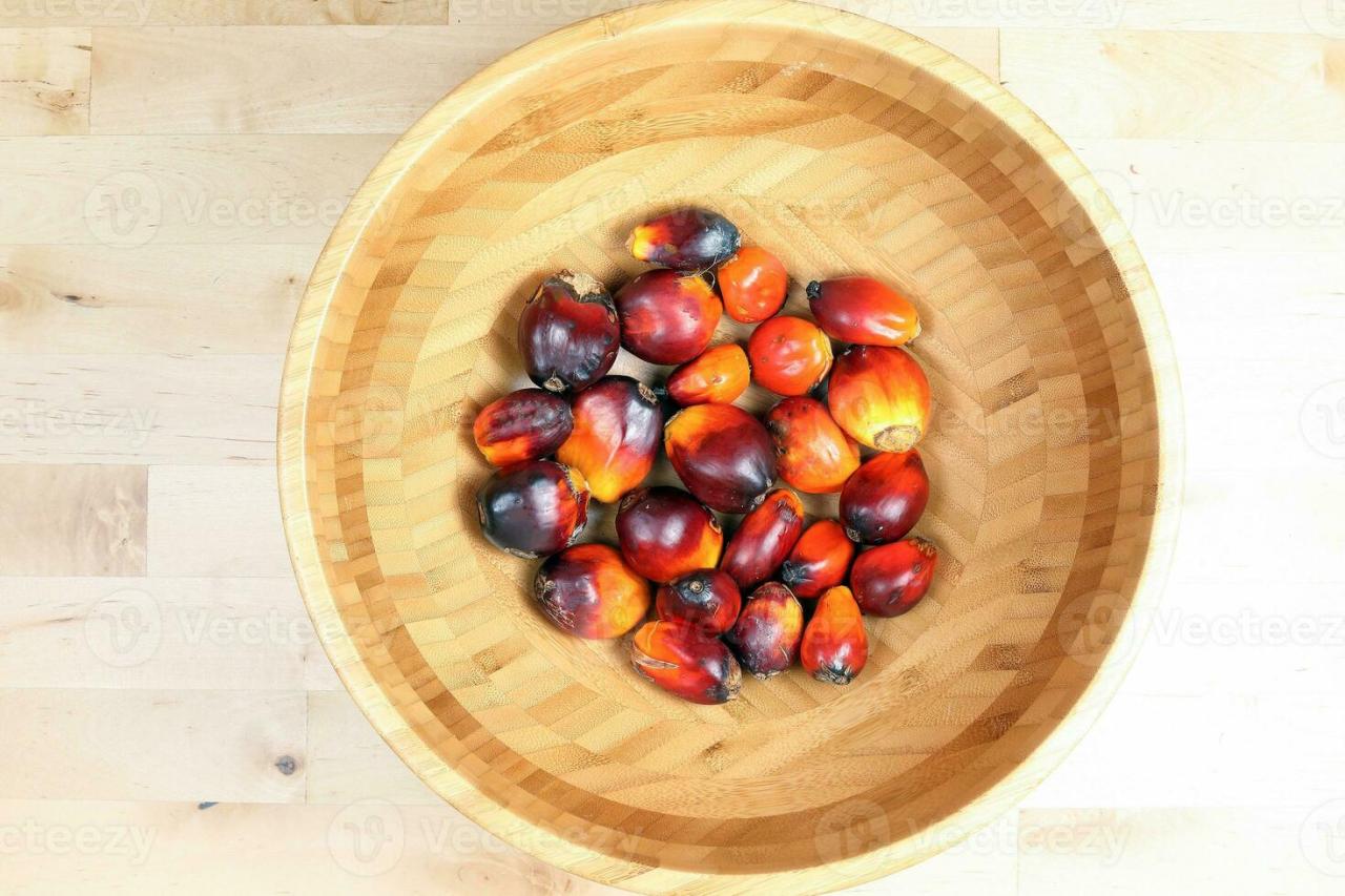Oil palm tree fruit