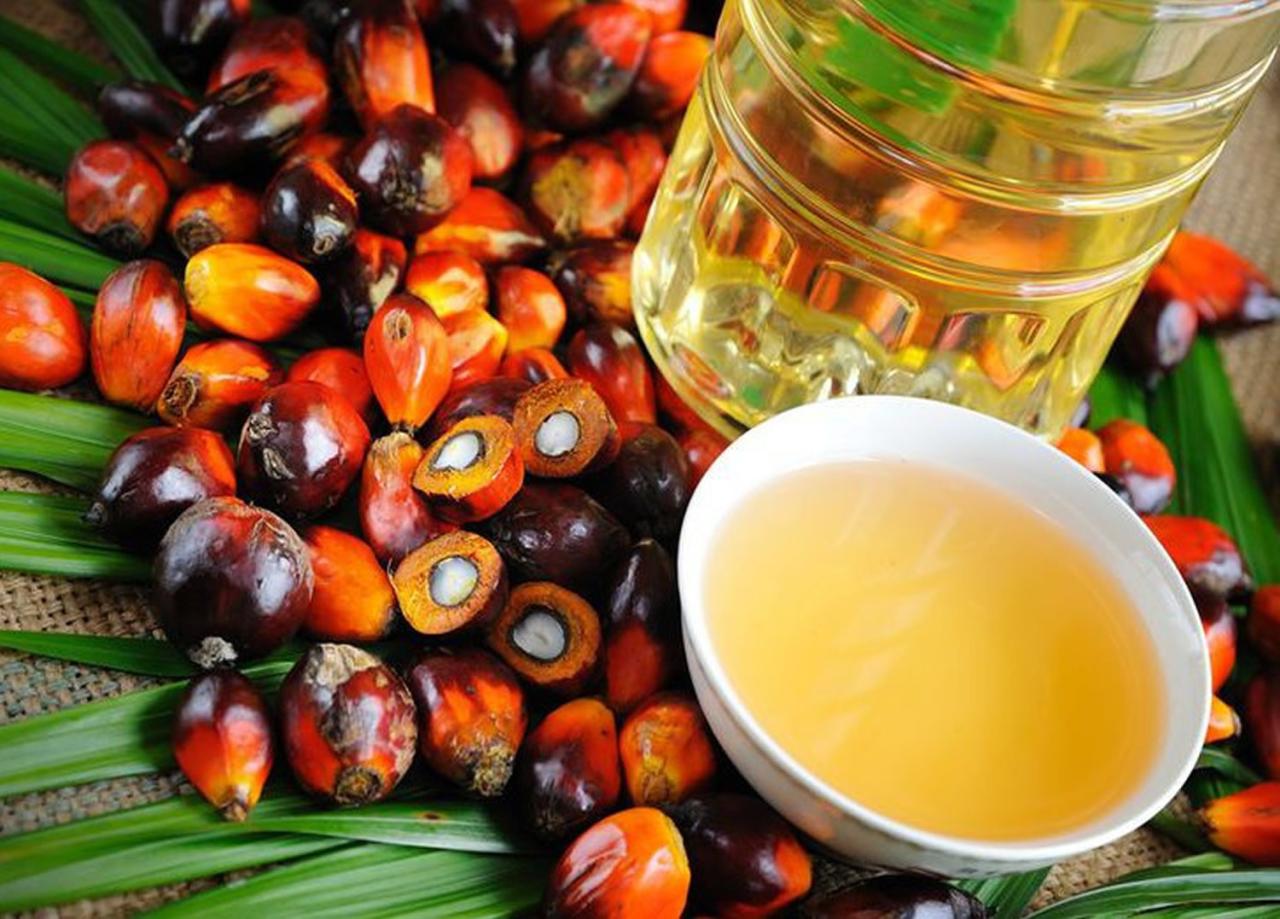 Palm oil good or bad