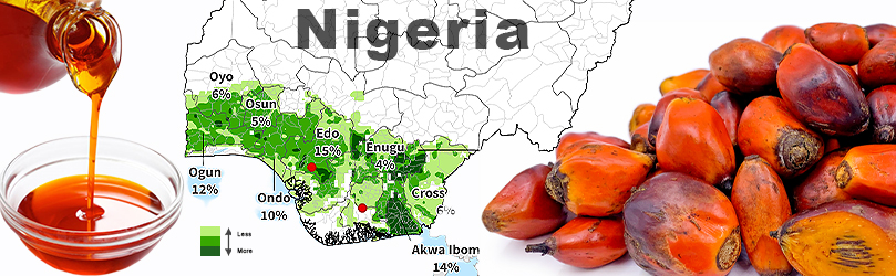 1TPH Palm Oil Mill Project Setup in Nigeria|Palm Fruit,Kernel Oil ... How to export palm oil from nigeria