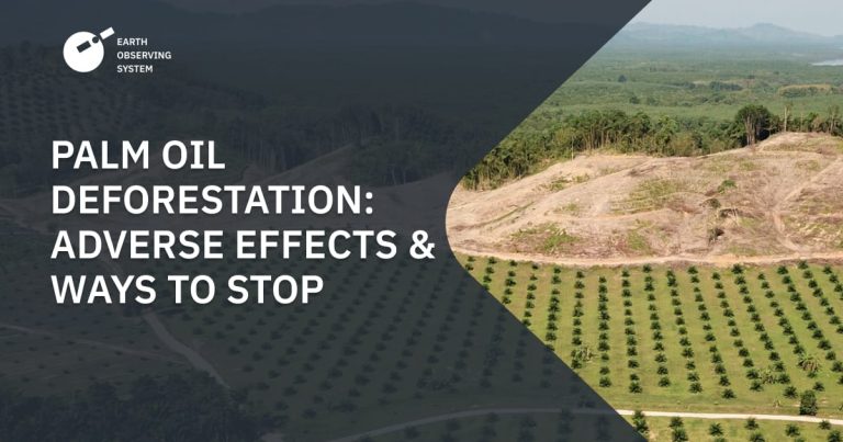 Oil cambodia deforestation rainforest destroying desmatamento habitats vulnerable failing greenmatters banco imagens