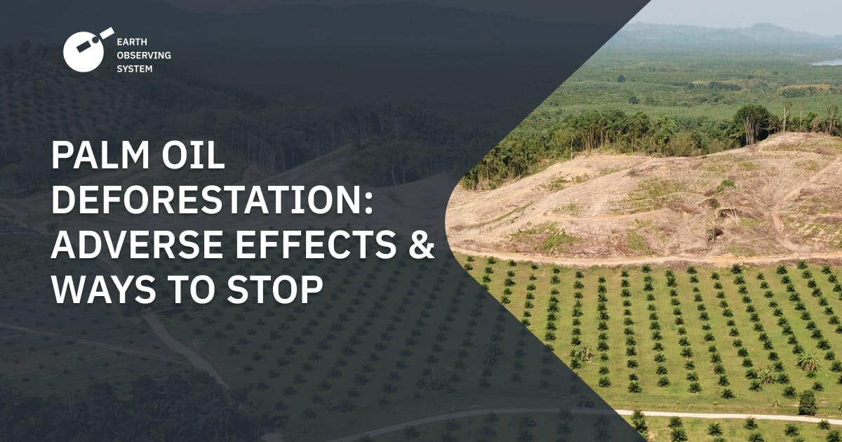 Oil cambodia deforestation rainforest destroying desmatamento habitats vulnerable failing greenmatters banco imagens Oil cambodia deforestation rainforest destroying desmatamento habitats vulnerable failing greenmatters banco imagens