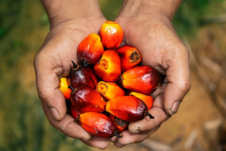 List of things palm oil can be used to make