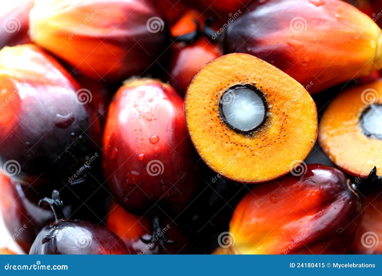 Seeds varieties everchem knowledge Is palm oil a seed oil