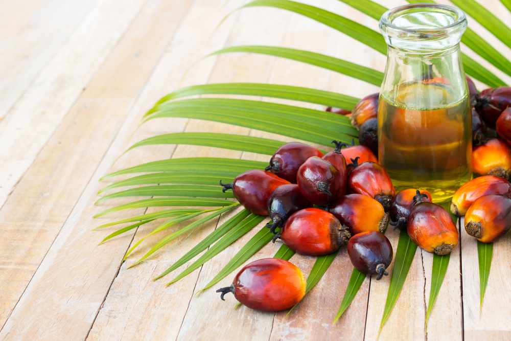 How to cook palm oil