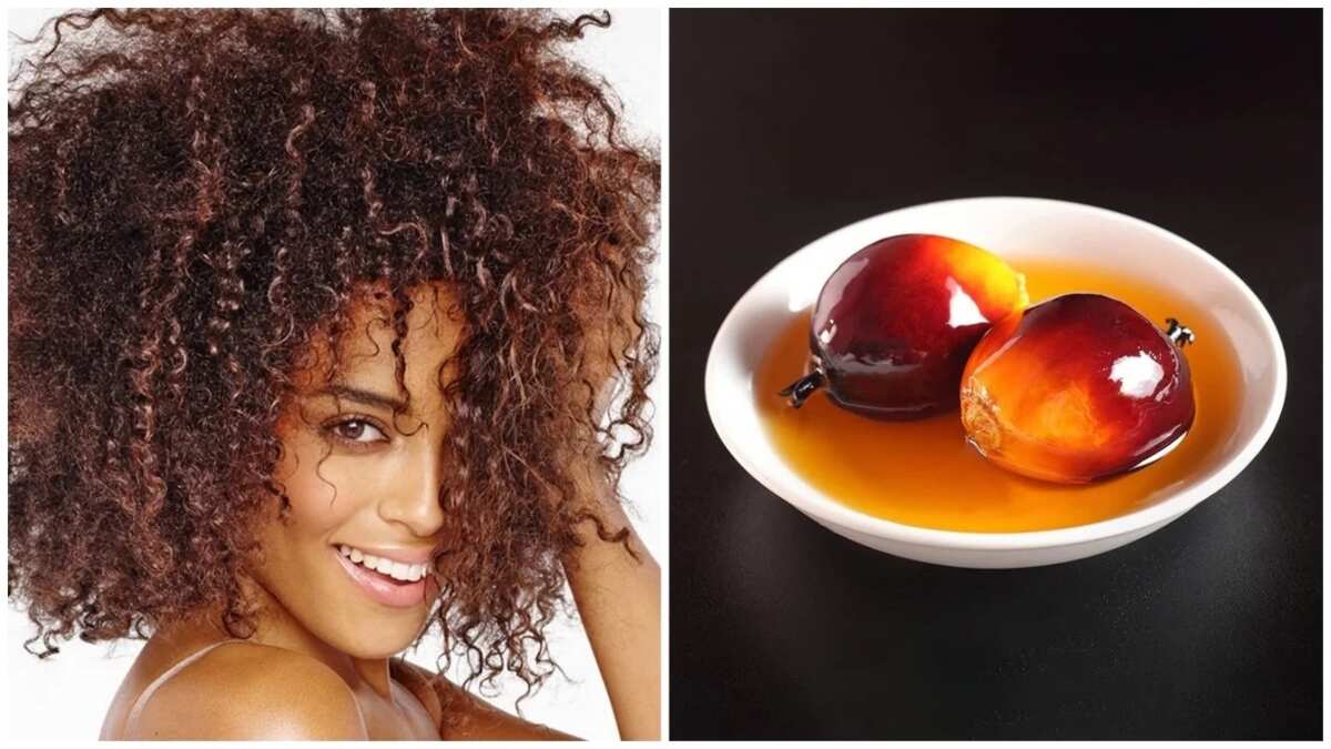 Oil Kernel oil for hair
